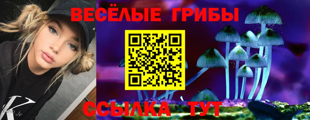 Галлюциногенные грибы прущие грибы Советск