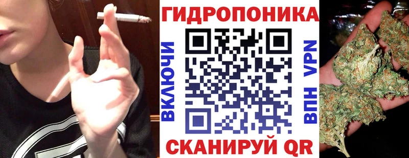 hydra зеркало  Советск  Каннабис индика 